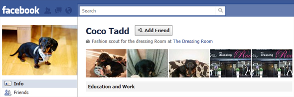 Even dogs have Facebook profiles Everyone has a Facebook profile, even dogs