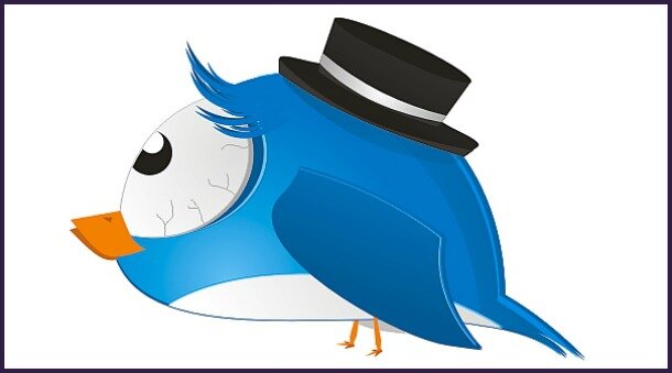 Overwhelmed Twitter bird Overwhelmed Twitter bird